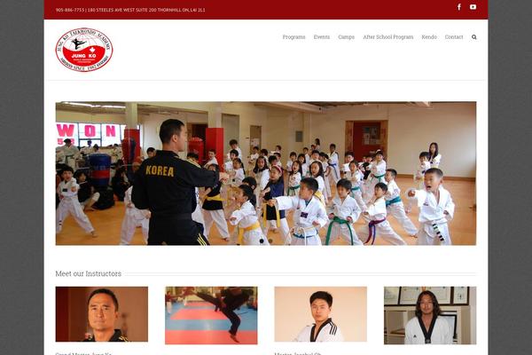 Avada theme site design template sample