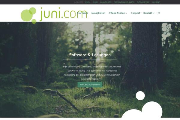 junixx.com site used Divi-juni