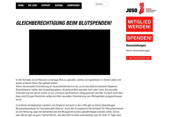 WordPress website example screenshot