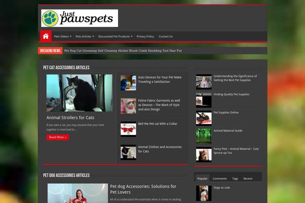 Sahifa theme site design template sample