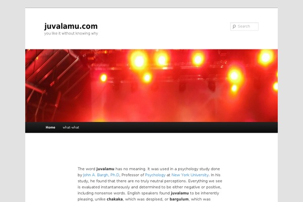 Twenty Eleven theme site design template sample