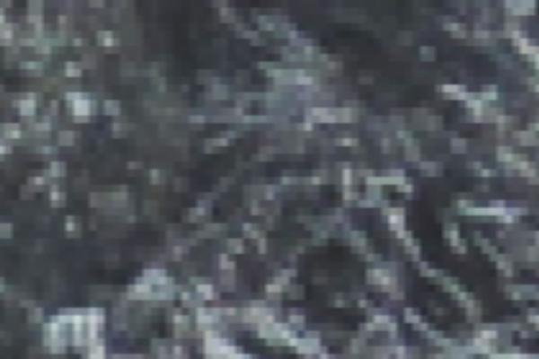 jwevergreens.com site used Twenty Seventeen