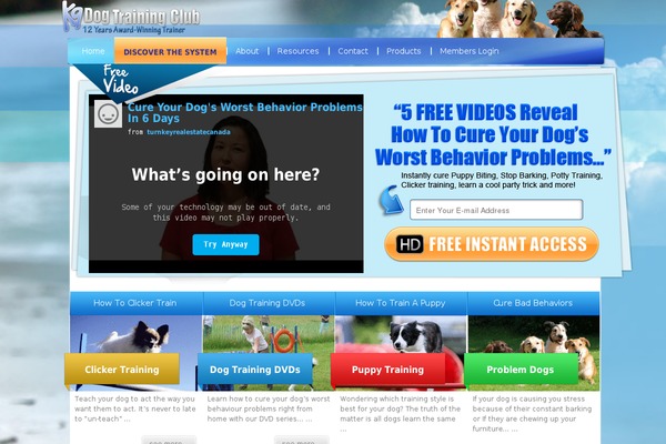 k9dogtrainingclub.com site used Dog-wp