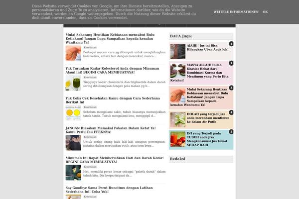 sapinfo_newsroom theme websites examples