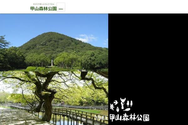 Site using Autoptimize plugin
