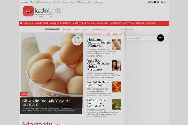 Sahifa theme site design template sample
