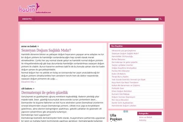 Kadin theme site design template sample