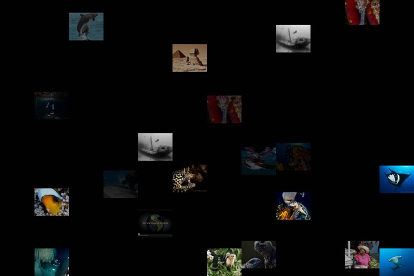 Photogrid theme site design template sample