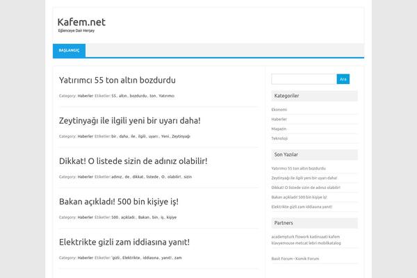 Iconic One theme site design template sample