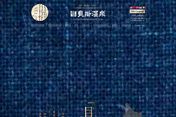 Avada theme site design template sample