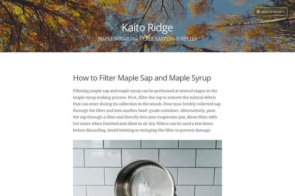 WordPress website example screenshot