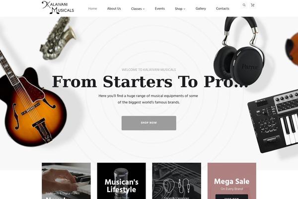 Musicplace theme site design template sample