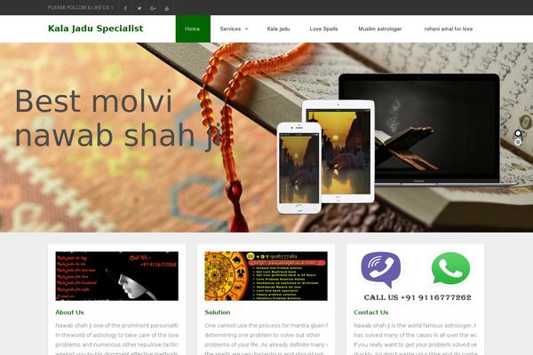 zenon_lite theme websites examples