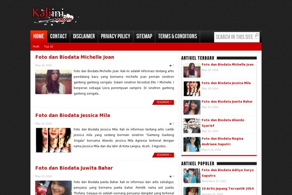 WordPress website example screenshot