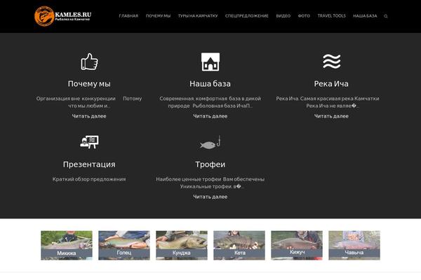 Ambition theme site design template sample