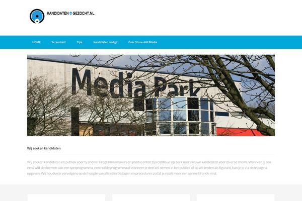 Enterprise Pro theme site design template sample