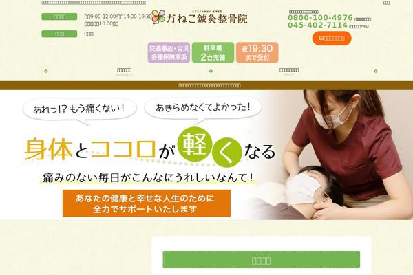 kanekoshinkyu.com site used Kaneko-clinic-child