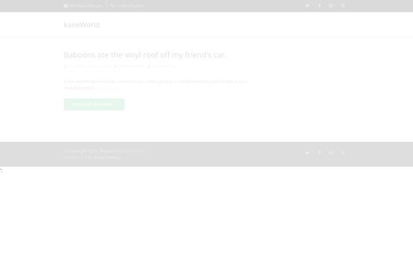 WordPress website example screenshot