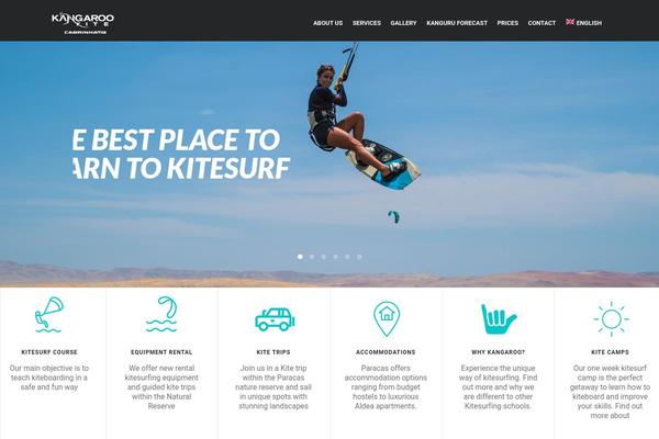 Diveit theme site design template sample