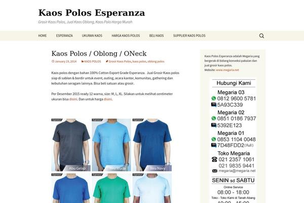 Twenty Thirteen theme site design template sample