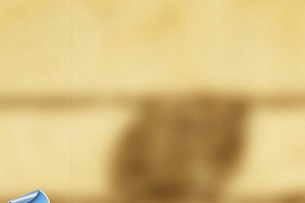 Twenty Seventeen theme site design template sample