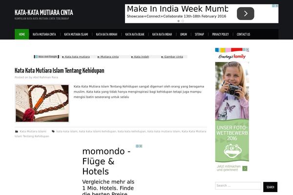 Hiero theme site design template sample