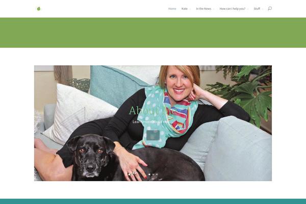 Divi theme site design template sample