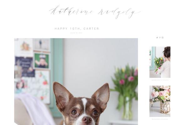 ProPhoto 5 theme site design template sample