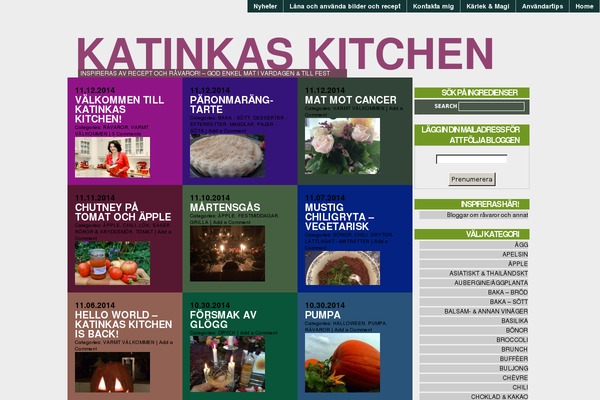 katinkaskitchen.com site used Foodica-pro