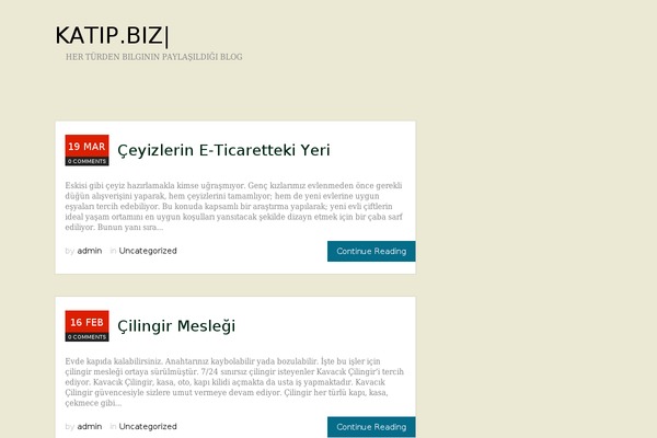 WordPress website example screenshot