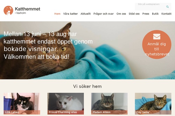 katthem.nu site used Katthemmetvaxholm