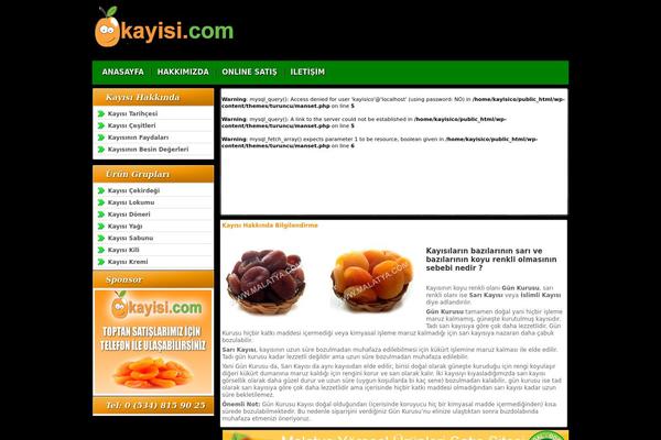 kayisi.com site used Turuncu