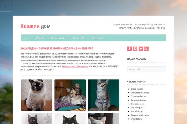 Focus Point theme site design template sample