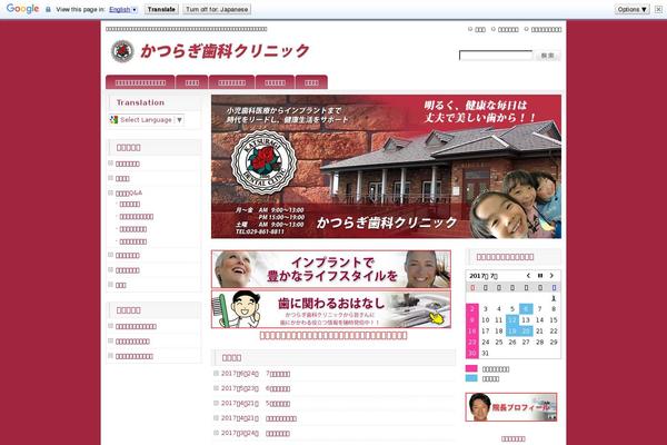 Site using Google Website Translator by Prisna.net plugin