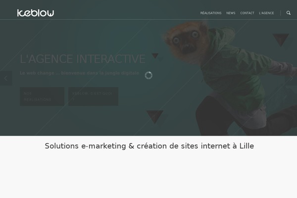 Salient theme site design template sample