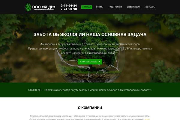 WordPress website example screenshot