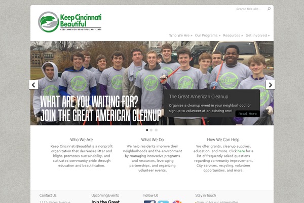 Chameleon theme site design template sample