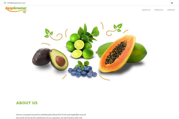 Roneous theme site design template sample