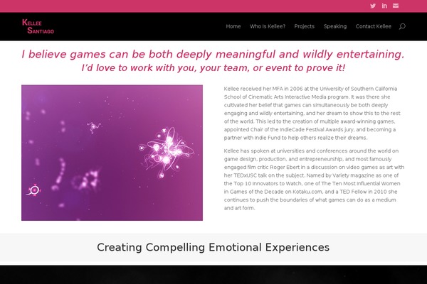 WordPress website example screenshot