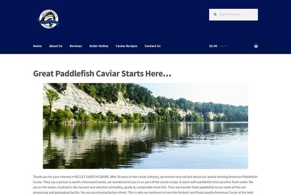 Storefront theme site design template sample