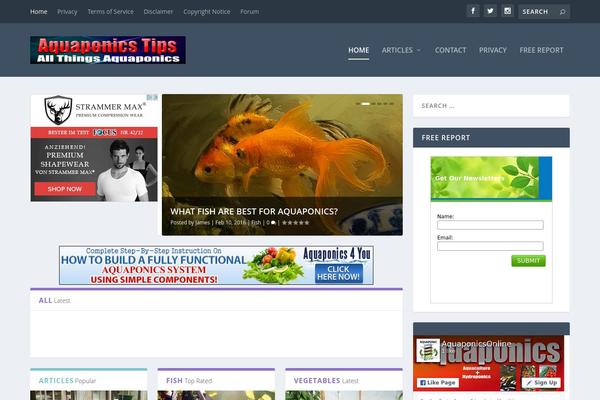 Divi theme site design template sample