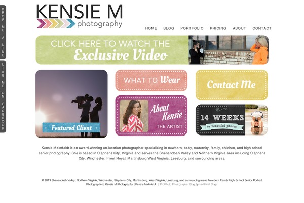 Prophoto4 theme site design template sample