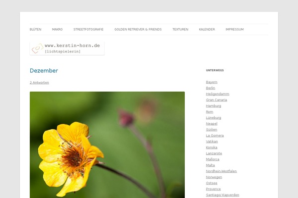 WordPress website example screenshot