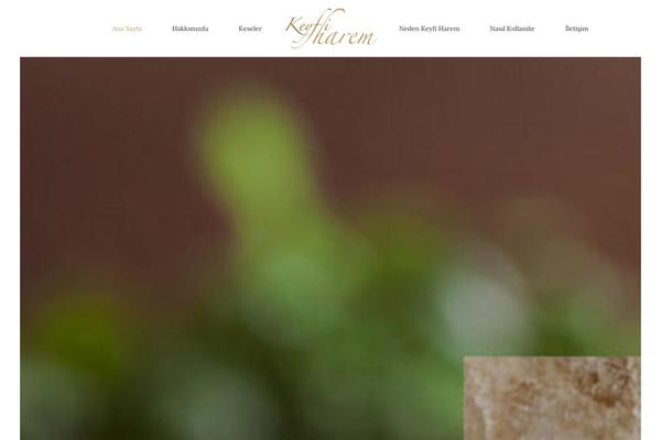 Bridge theme site design template sample