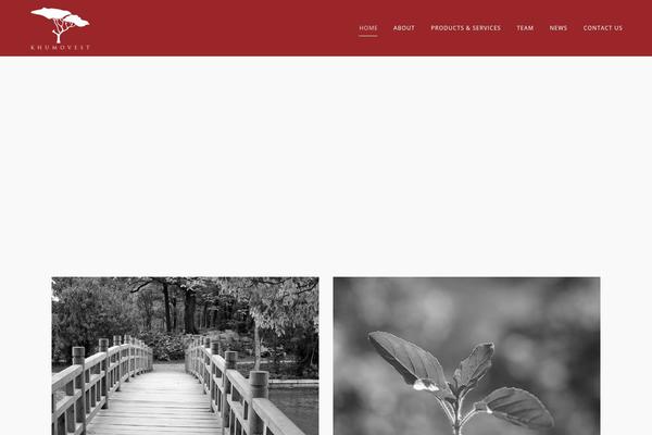 Bridge theme site design template sample