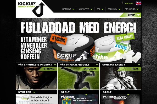 kickup.se site used Kickup