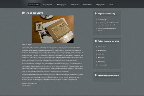 WordPress website example screenshot