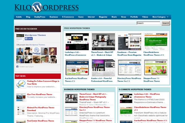 DW WallPress theme site design template sample