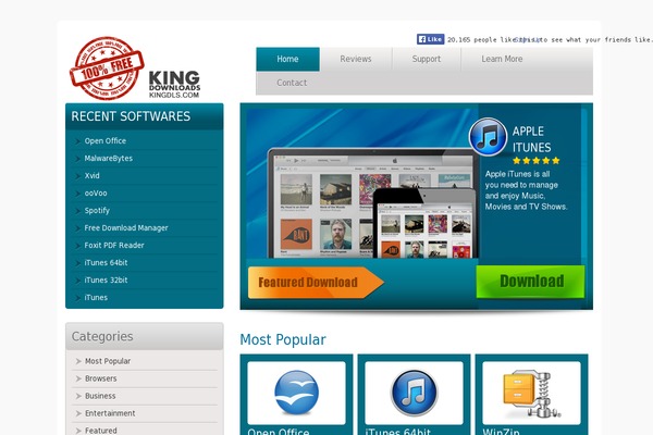 kingdls.com site used Twopagedesign