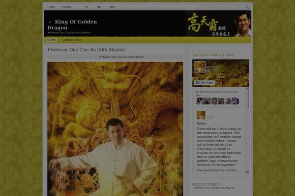Site using Download Monitor plugin